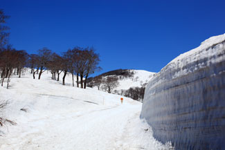 月山イメージ画像